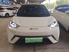 BYD Seagull Glory Edition 305km Freedom Version - ფოტო 2