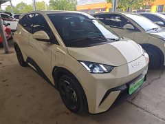 BYD Seagull Glory Edition 305km Freedom Version - ფოტო 3