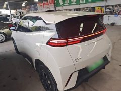 BYD Seagull Glory Edition 305km Freedom Version - ფოტო 4