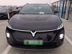 Voyah Lantu Zhiyin Four-Wheel Drive Global Edition - фото 2