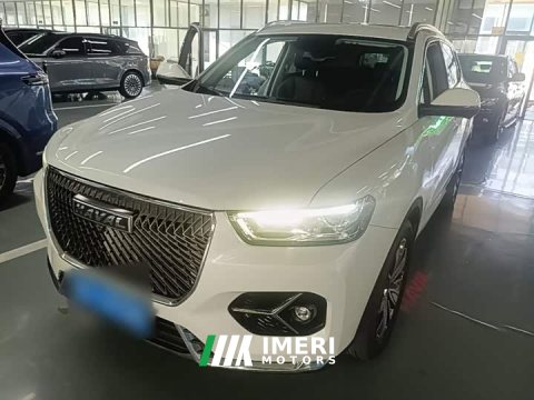 2021 Haval H6 1.5T Automatic Champion Edition - ავტომობილი ჩინეთიდან