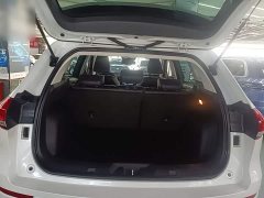 Haval H6 1.5T Automatic Champion Edition - ფოტო 18