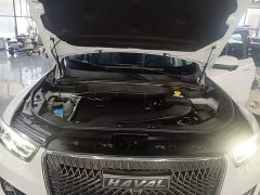 Haval H6 1.5T Automatic Champion Edition - ფოტო 19