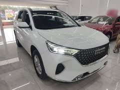 Haval M6 PLUS 1.5T DCT Elite Smart Connected Edition - фото 3