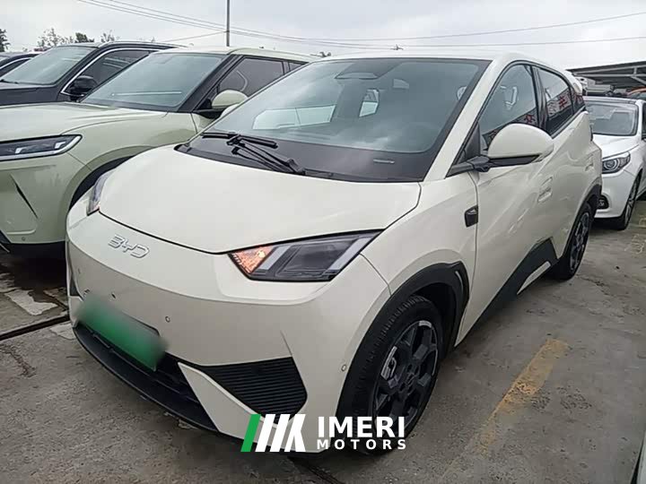 BYD Seagull Smart Driving Edition 305km Freedom Edition