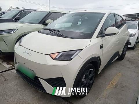 2025 BYD Seagull Smart Driving Edition 305km Freedom Edition