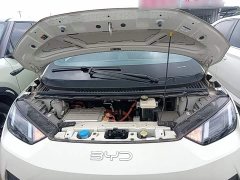 BYD Seagull Smart Driving Edition 305km Freedom Edition - photo 19