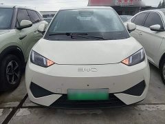 BYD Seagull Smart Driving Edition 305km Freedom Edition - photo 2