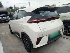 BYD Seagull Smart Driving Edition 305km Freedom Edition - photo 4