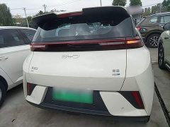 BYD Seagull Smart Driving Edition 305km Freedom Edition - photo 5