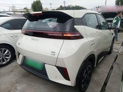 BYD Seagull Smart Driving Edition 305km Freedom Edition - photo 6