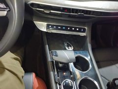 Changan Eado Enjoy Plus Blue Whale NE 1.4T GDI DCT Luxury Edition - photo 13