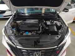 Changan Eado Enjoy Plus Blue Whale NE 1.4T GDI DCT Luxury Edition - photo 19