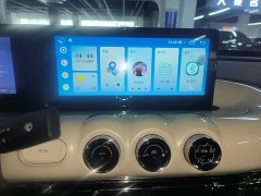 Wuling Binguo 333km Joy Edition - ფოტო 12