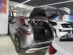 BYD Song L DM-i Smart Drive 160km Exceed - photo 18