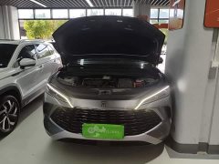 BYD Song L DM-i Smart Drive 160km Exceed - photo 19