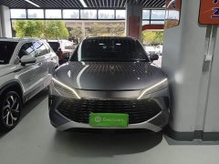BYD Song L DM-i Smart Drive 160km Exceed - photo 2