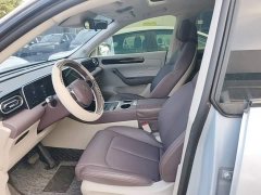 Leapmotor Leapo C11 Pure Electric 500 Comfort Edition - photo 14