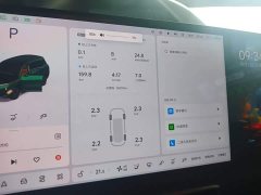 Li Auto L9 Max - ფოტო 11