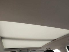 Volkswagen Sagitar 300TSI DSG Excellence Edition - photo 17
