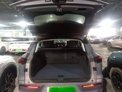 Buick E5 Premium Standard Range Edition - ფოტო 18