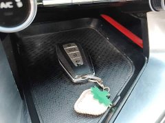 Geely Binrui 1.4T CVT F-Sport Edition - ფოტო 8