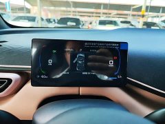 BYD Seagull 305km Vitality Edition - ფოტო 11