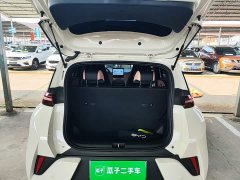 BYD Seagull 305km Vitality Edition - ფოტო 18
