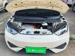 BYD Seagull 305km Vitality Edition - ფოტო 19