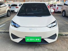 BYD Seagull 305km Vitality Edition - ფოტო 2