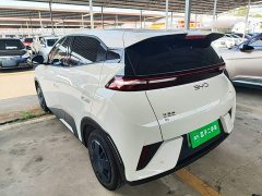 BYD Seagull 305km Vitality Edition - ფოტო 4