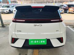 BYD Seagull 305km Vitality Edition - ფოტო 5