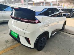 BYD Seagull 305km Vitality Edition - ფოტო 6