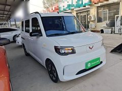 Wuling Zhiguang New Energy 201km Comfort - фото 3
