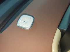 Wuling Binguo 410km Lingxi Premium Edition - ფოტო 8