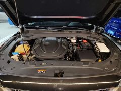 Geely Xingrui 2.0T Diesel Luxury - ფოტო 19