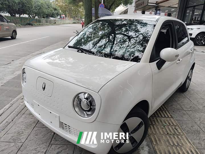 Ora Black Cat 301km Base Ternary Lithium - car from China