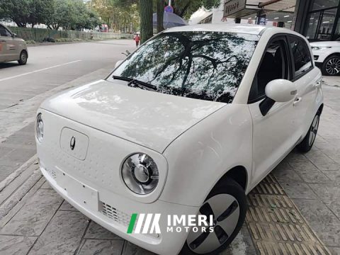 2022 Ora Black Cat 301km Base Ternary Lithium - ავტომობილი ჩინეთიდან
