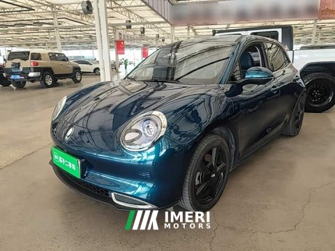 2024 ORA Good Cat 401km Luxury - ავტომობილი ჩინეთიდან