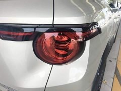 Haval Big Dog PLUS New Energy Hi4 150km Trendy EV Edition - фото 7