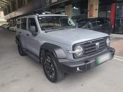 Tank 300 New Energy Hi4-T 37.1kWh - фото 3