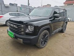 Haval Manlong New Energy Hi4 145 Explorer Edition - фото 1