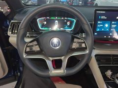 BYD Song Plus New Energy DM-i 110KM Flagship Plus - ფოტო 10