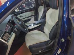 BYD Song Plus New Energy DM-i 110KM Flagship Plus - ფოტო 14