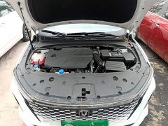 Changan Ruicheng PLUS 1.5T DCT Pilot Edition - ფოტო 15