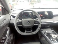 Changan Ruicheng PLUS 1.5T DCT Pilot Edition - ფოტო 6