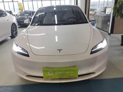 Tesla Model 3 Rear-Wheel Drive - photo 2