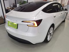 Tesla Model 3 Rear-Wheel Drive - photo 6