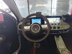 Wuling Binguo 333km Joy Edition - ფოტო 10
