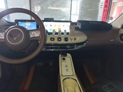 Wuling Binguo 333km Joy Edition - ფოტო 12